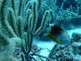 Curacao 04-12 287